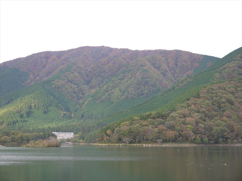 P1220088_R.JPG