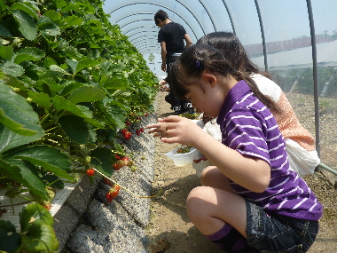 P1080264.JPG