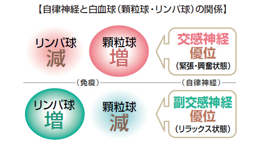 20091225_h_z1.jpg
