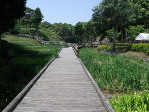 20140530_518.jpg