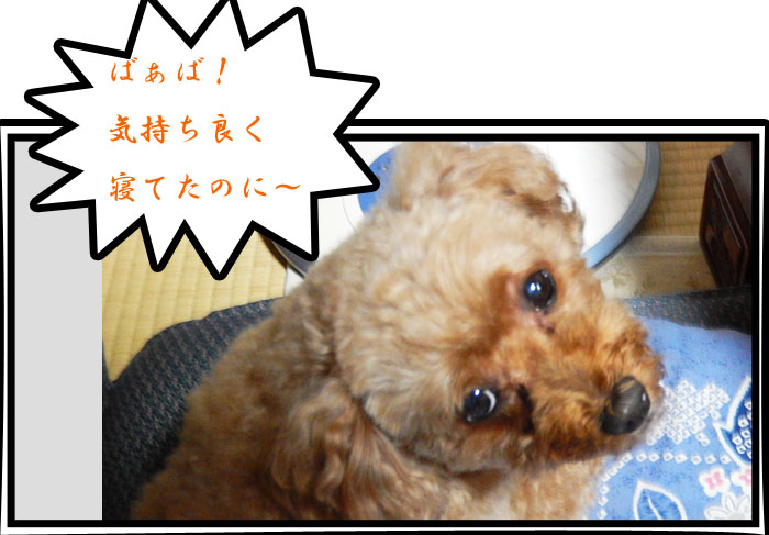 こころ５
