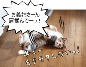画像 030.jpg
