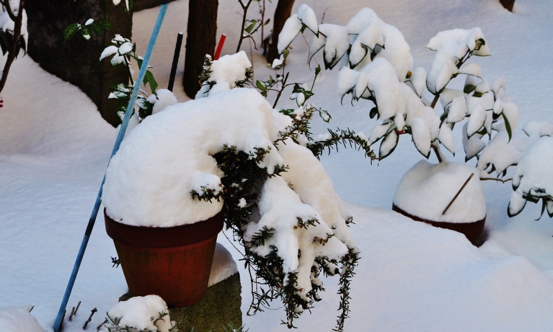 Ｂ・雪・1.jpg
