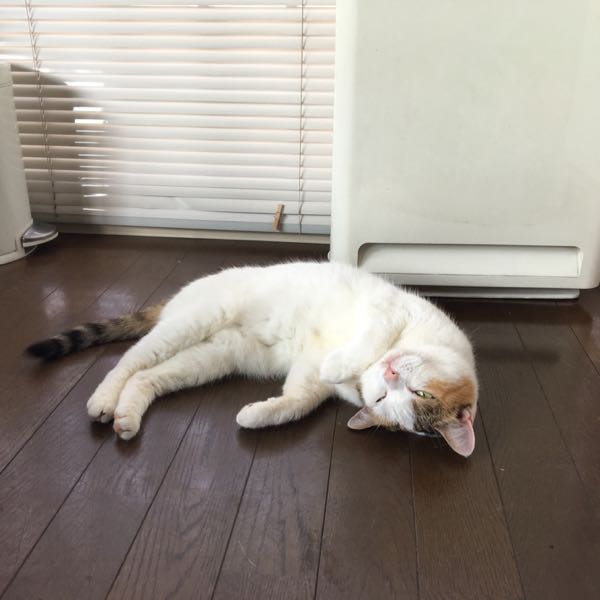 rblog-20160812213259-01.jpg