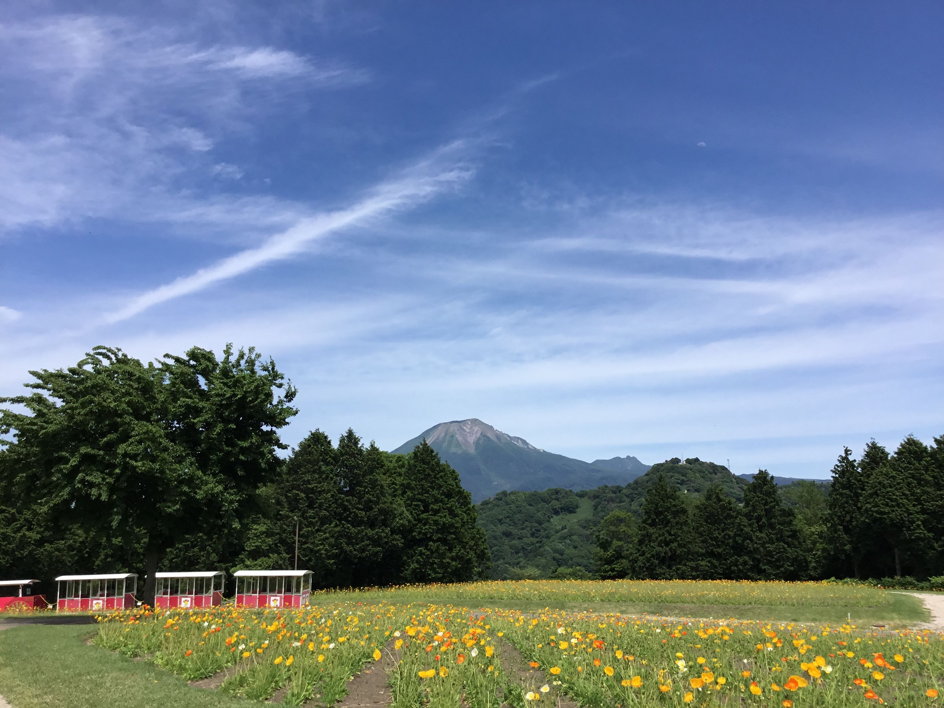 運動場で三角座り