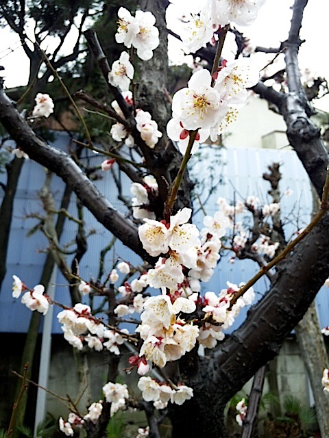 120324_131159.jpg