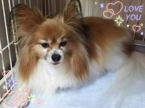 rblog-20180714230522-01.jpg