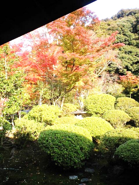 CA3A0788.jpg