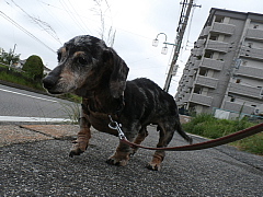 conv0565.JPG