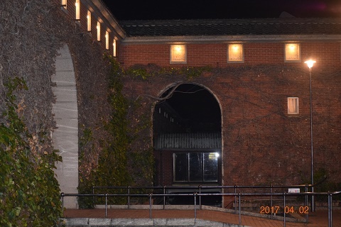 DSC_0343.jpg