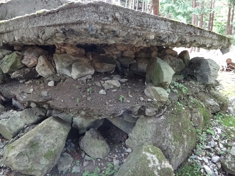 DSC01623.JPG
