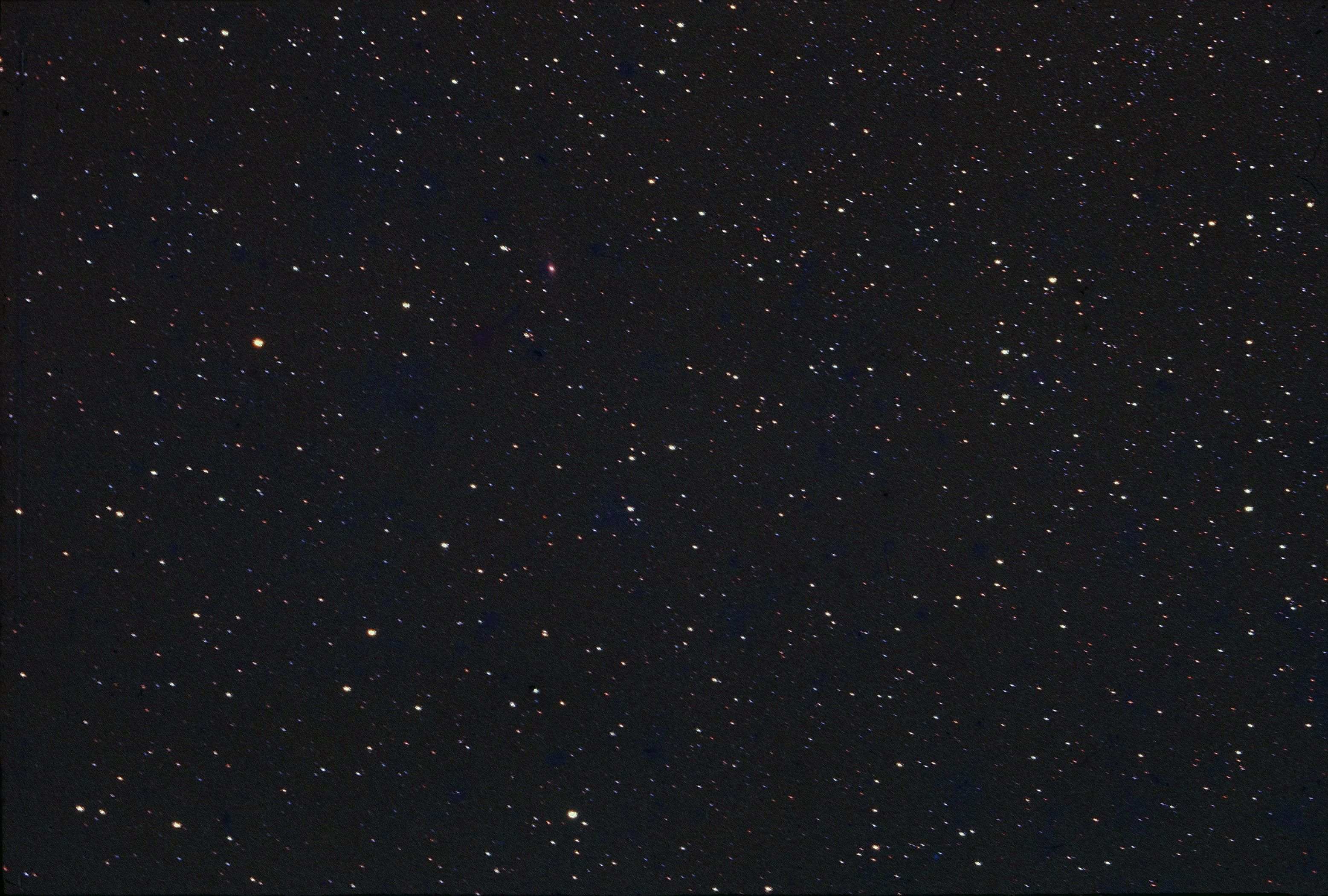 私が撮ったハレー彗星 | 星とカワセミ好きのブログ - 楽天ブログ