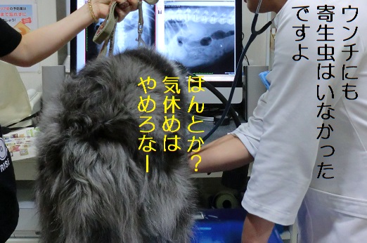 気休め