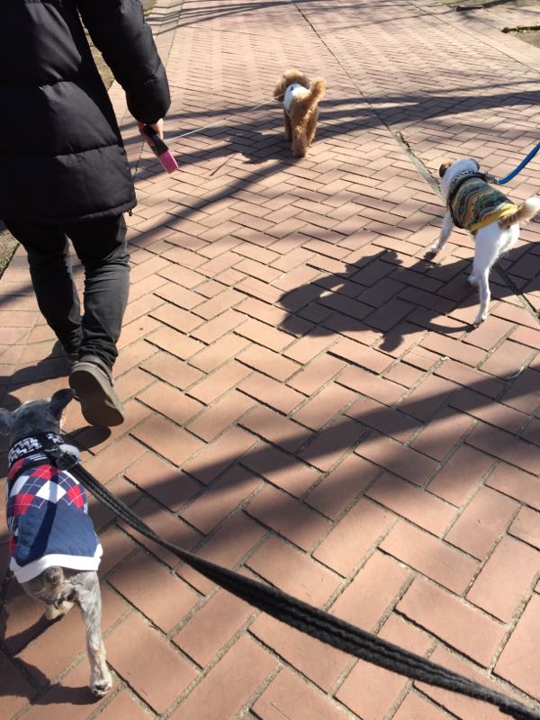 rblog-20160326024307-01.jpg