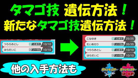 ポケモン剣盾 クリア後の効率の良いレベル上げ ２２ ポケモン剣盾 ポケモンソードシールド ゲームボーイまことのゲーム攻略とブログ小説 楽天ブログ