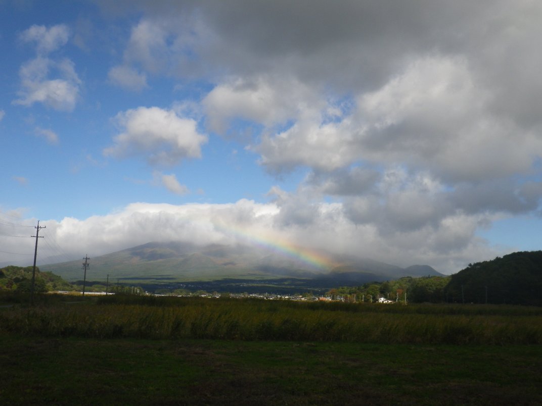 IMGP4495_1.JPG