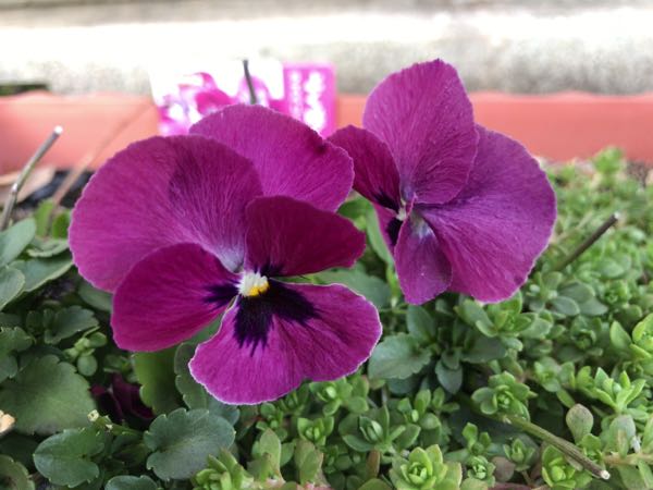 rblog-20170227213621-10.jpg