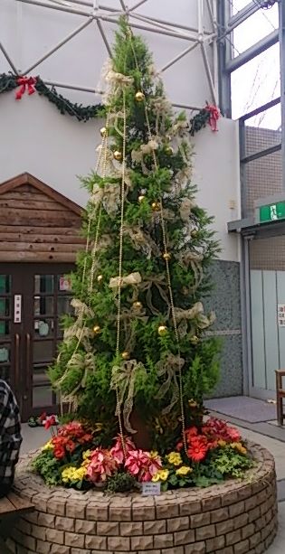 温室内