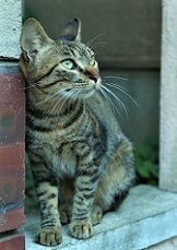5DA_4748-19.jpg