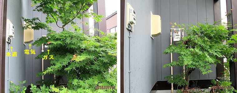 ７／１Ｂｅｆｏｒｅ　＆　Ａｆｔｅｒ.jpg