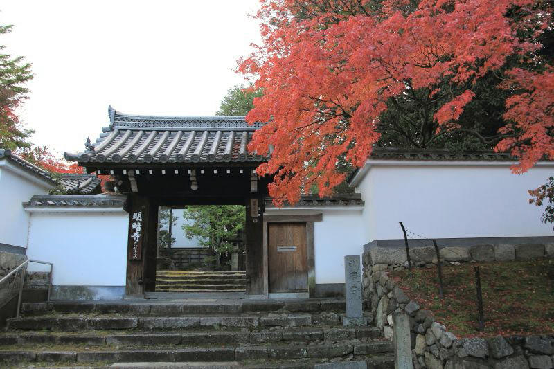東福寺_002.jpg