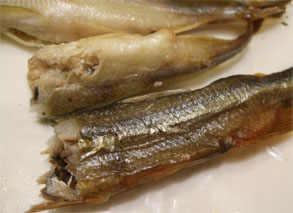 藤崎53.jpg