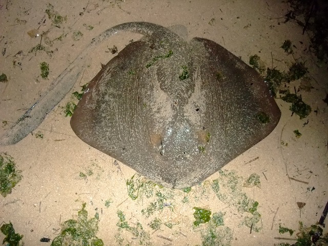 DSCF9141.JPG