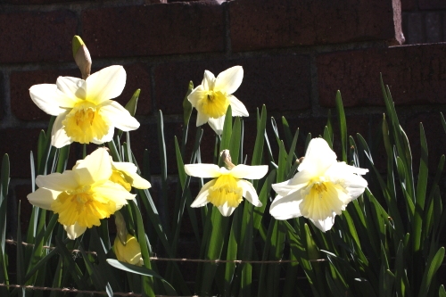 20160321004.JPG