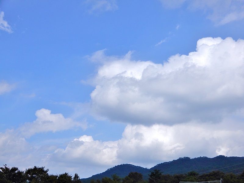 空3