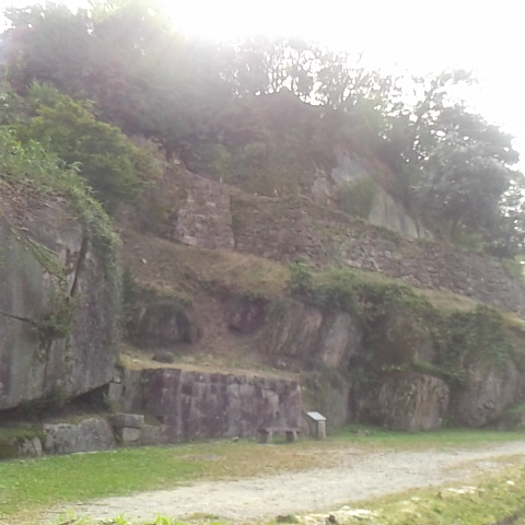 苗木城