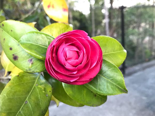 rblog-20180408181817-09.jpg