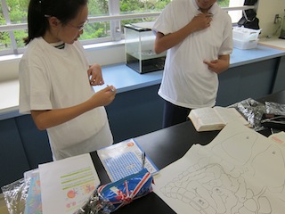 IMG_4508.JPG