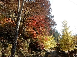 荒川キャンプ場