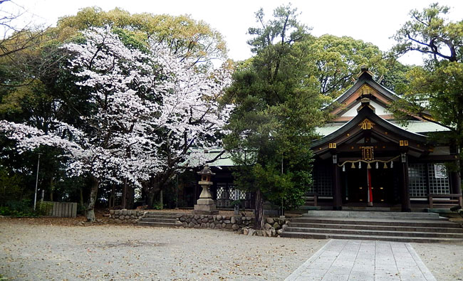 桜１