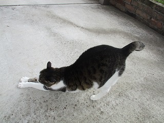 IMG_8854ss.jpg
