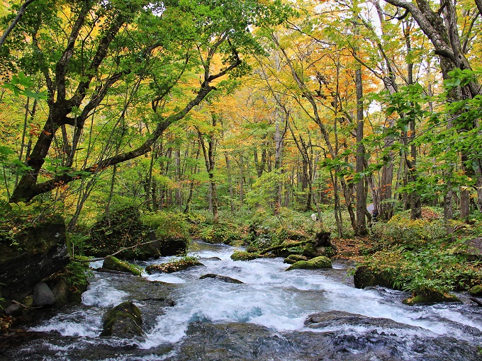 4.寒沢の流れ.JPG