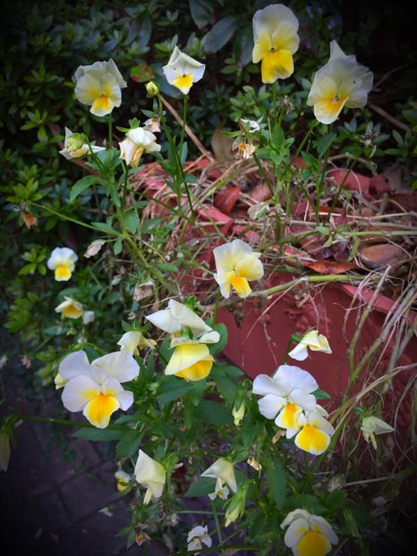 rblog-20160710211216-04.jpg