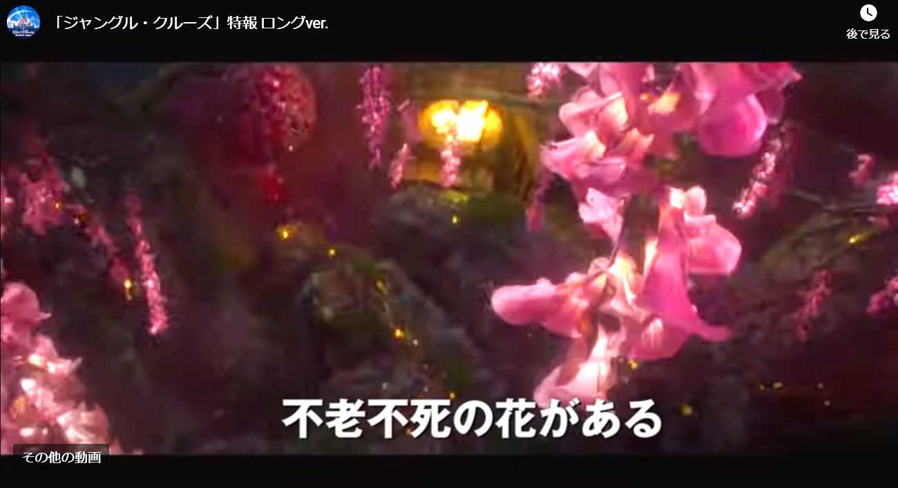 台風なので 映画 ジャングル クルーズ を観た ８月９日 山と空が友だち ドローンで空撮 楽天ブログ