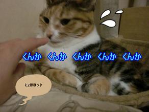 福にょほほ.JPG