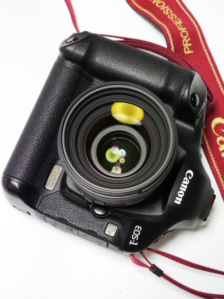 Canon EOS-1Ds MarkⅢ | かめらぶろぐ - 楽天ブログ