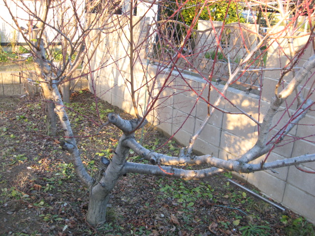 2012 8 20 004.JPG