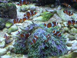 東京スカイツリー 061.jpg