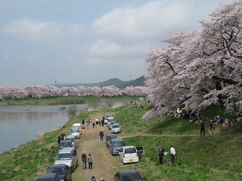 mankai