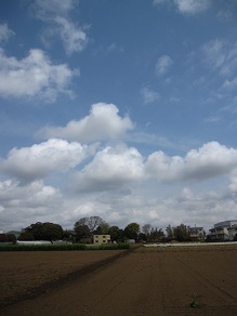 IMG_8322.JPG