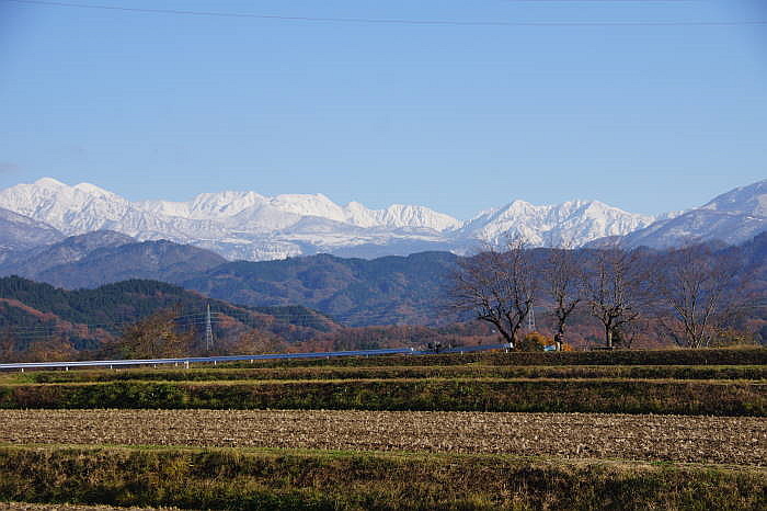 0152DSC02437.JPG