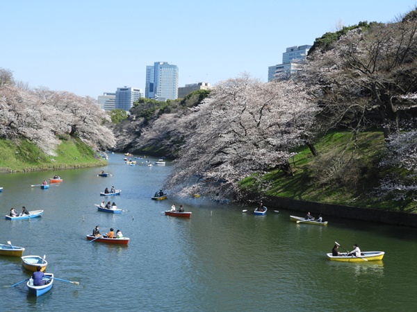 千鳥ヶ淵緑道