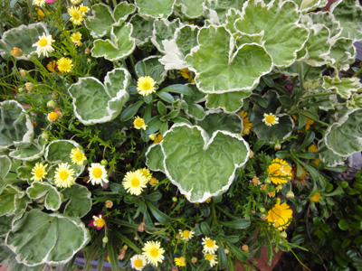 DSC05216.jpg