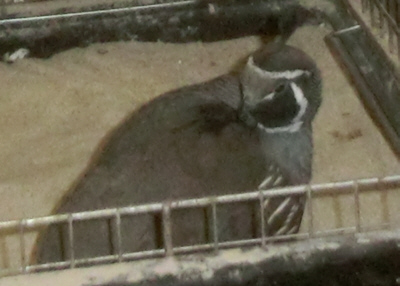 20141222(9)