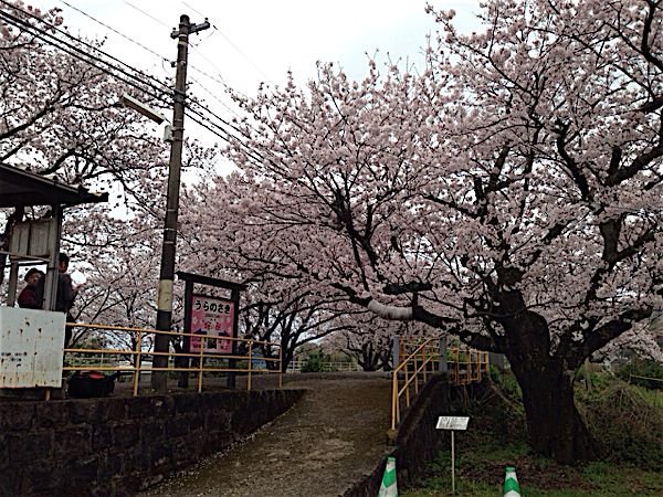 rblog-20160403012006-03.jpg