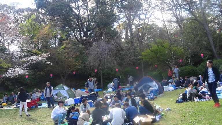 ２０１９年３月３１日 浜松城公園桜まつり 3 祭大王 楽天ブログ 楽天ブログ